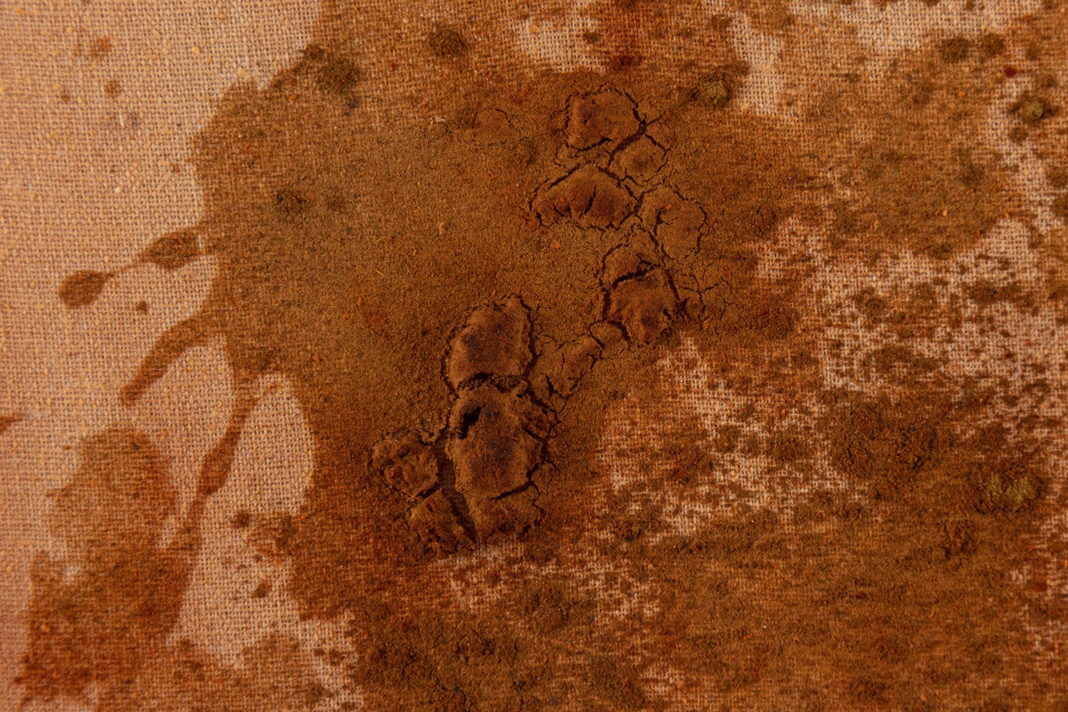 Kader Attia
Untitled&amp;nbsp;(detail)
2020
Henna and thread on canvas
75 3/4 x 52 3/4 x 1 inches (192.4 x 134 x 2.5 cm)