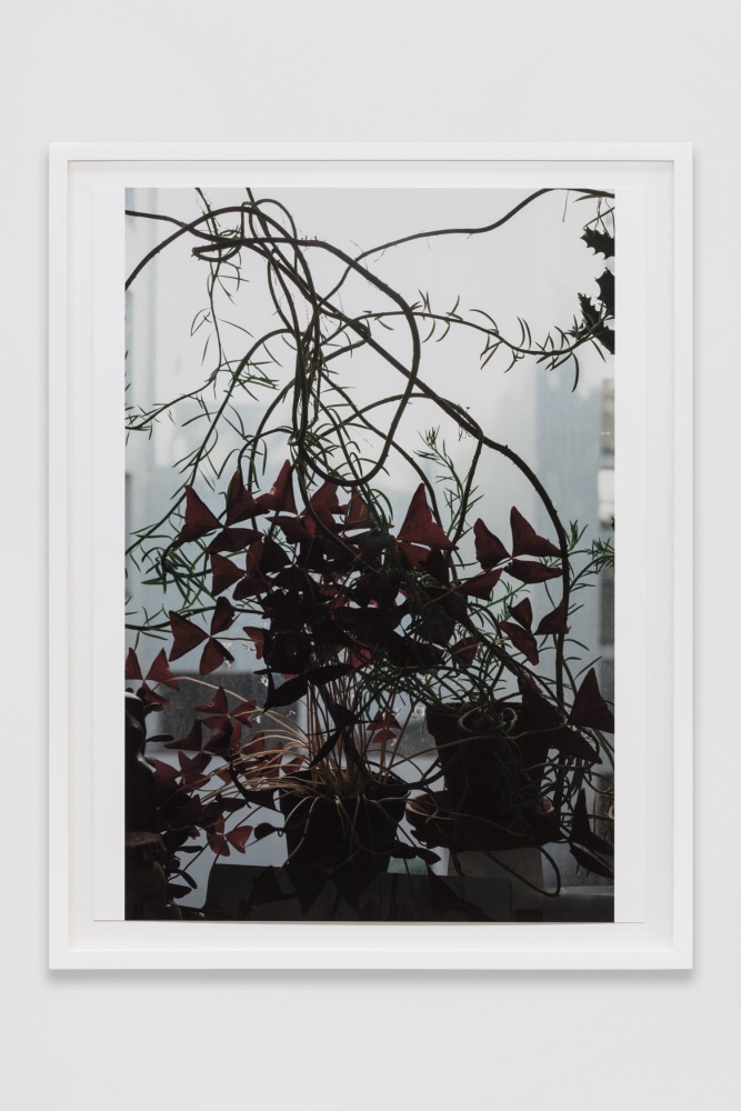 Wolfgang Tillmans
Escape into Space
2020
Inkjet print on paper
17 3/8 x 13 3/8 x 7/8 inches (44.1 x 34 x 2.2 cm)