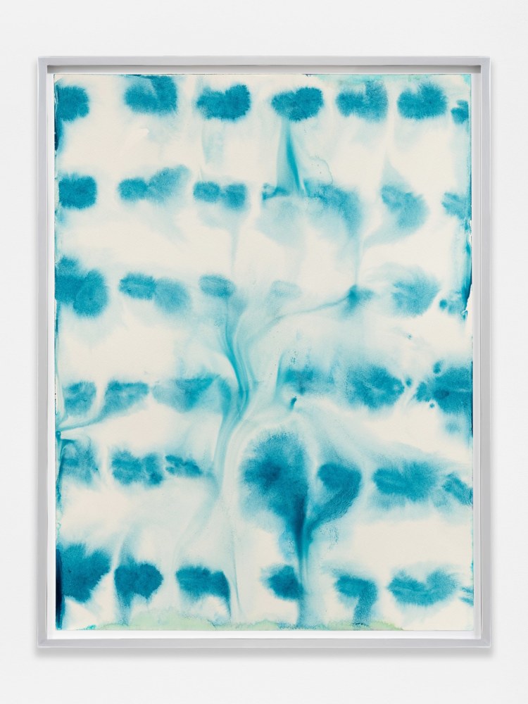 Rebecca Morris
Untitled (#204-20)
2020
Watercolor and ink on paper
25 1/8 x 19 1/4 x 1 1/2 inches (63.8 x 48.9 x 3.8 cm)