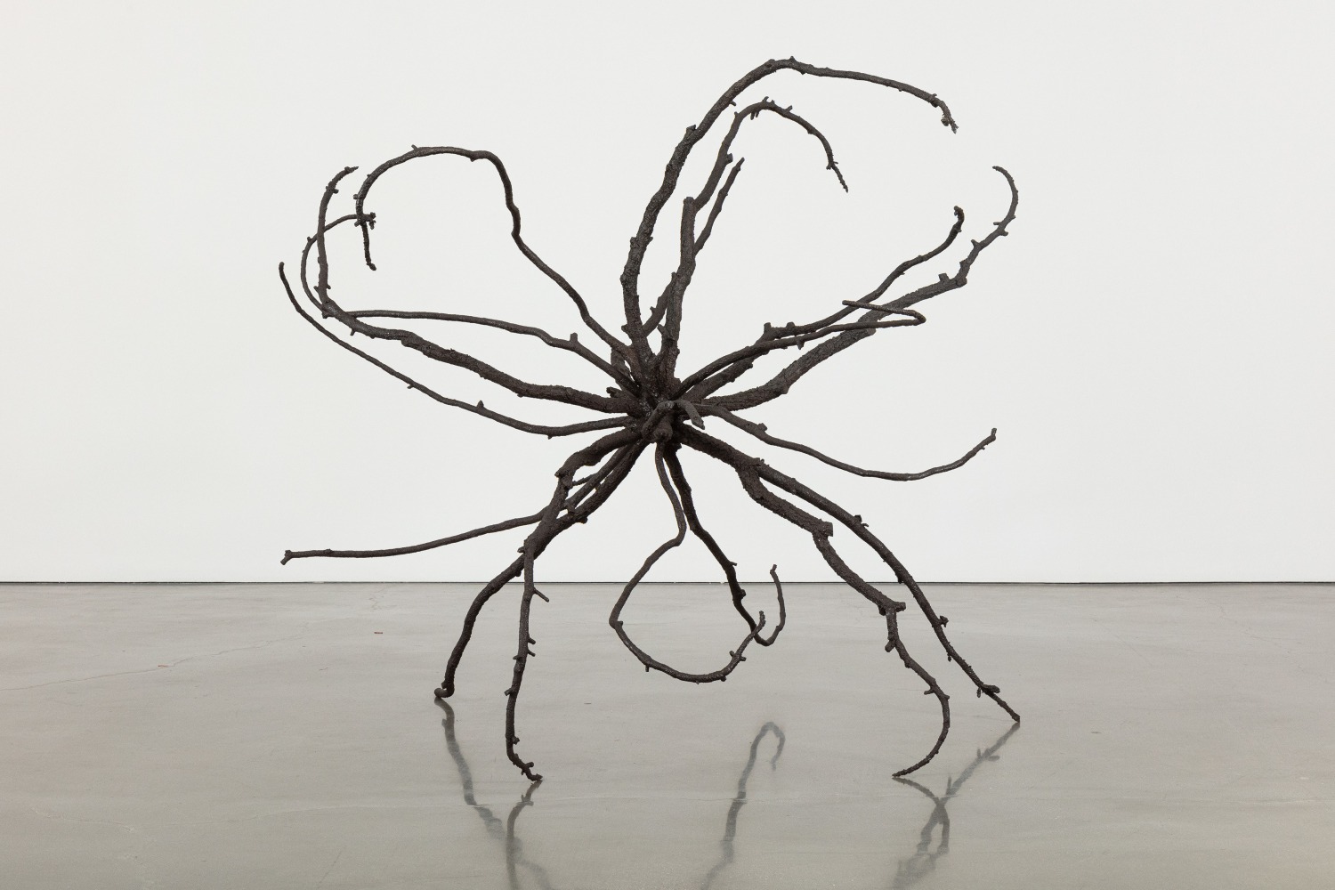 Liz Larner: Pioneers