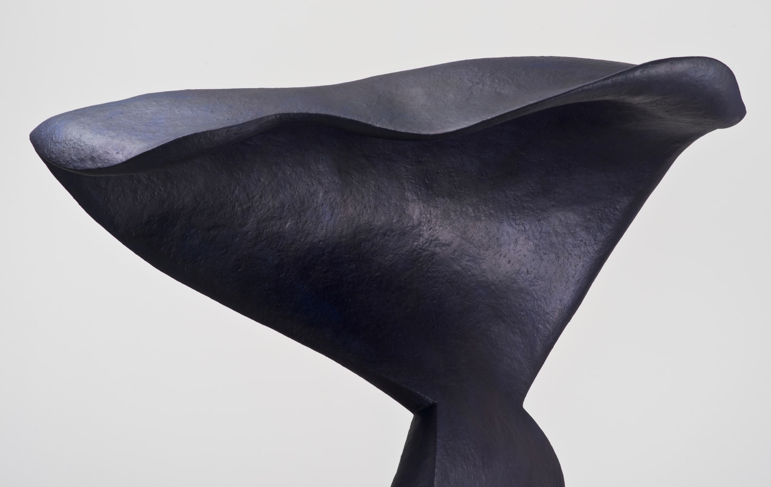 Liz Larner: Pioneers