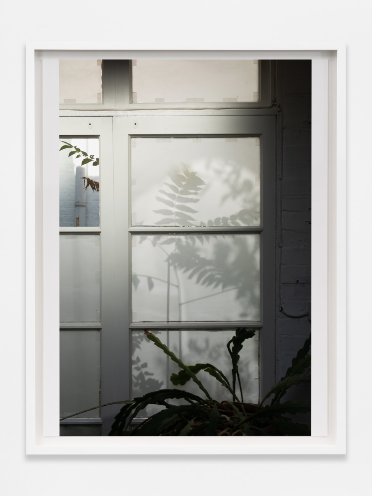 Wolfgang Tillmans
Seb Street Shadows
2021
Inkjet print on paper
17 3/8 x 13 3/8 x 7/8 inches (44.1 x 34 x 2.2 cm)