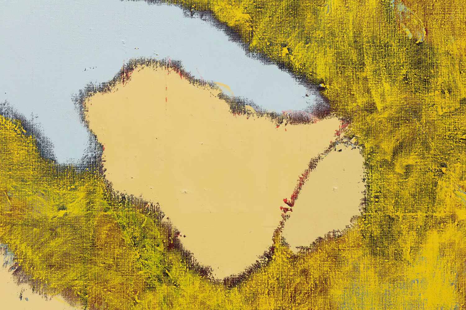 Daniel Richter
a new from above
2016
Oil on canvas
79 7/8 x 107 1/2 x 1 3/4 inches (202.9 x 273.1 x 4.4 cm)
&amp;euro;275,000

DOUBLE CLICK IMAGE FOR MORE VIEWS