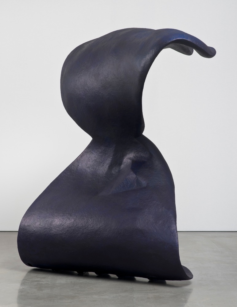 Liz Larner: Pioneers