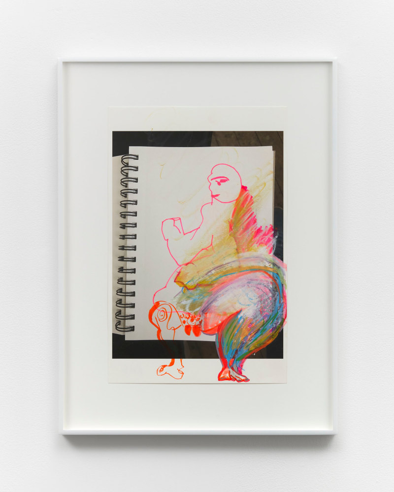 Rachel Harrison
The Classics
2018
India ink and wax crayon on pigmented inkjet print
Paper Dimensions:
17 x 11 inches (43.2 x 27.9 cm)
Framed Dimensions:
23 1/8 x 17 1/8&amp;nbsp;inches (58.7 x 43.5&amp;nbsp;cm)

DOUBLE CLICK IMAGE FOR MORE VIEWS