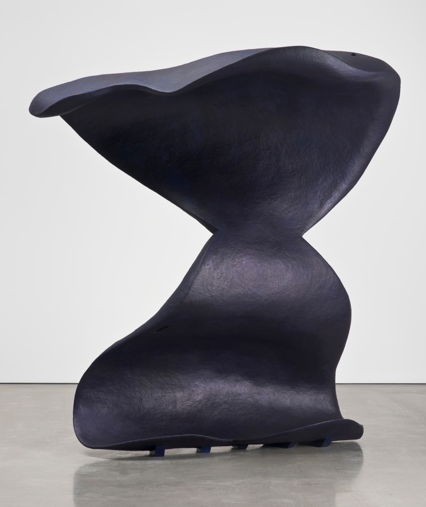 Liz Larner: Pioneers