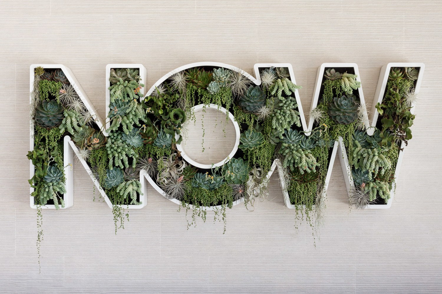 Doug Aitken
NOW
2013
Powder-coated metal, black felt, assorted plants
38 x 103 x 7 1/8 inches (96.5 x 261.6 x 18.1 cm)