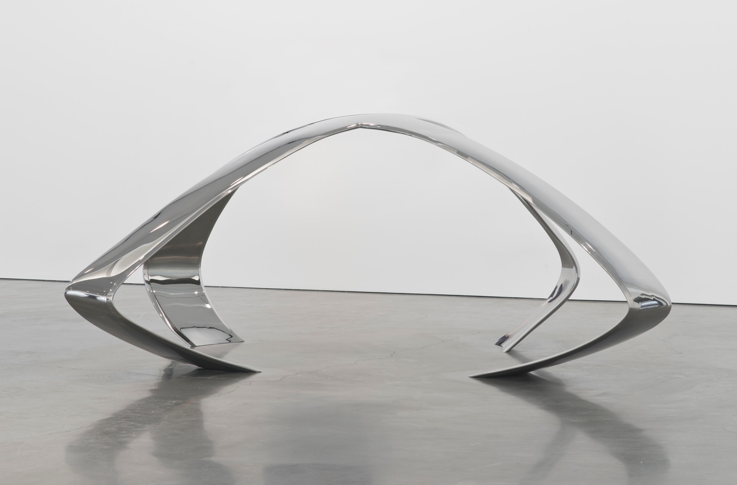 Liz Larner: Pioneers