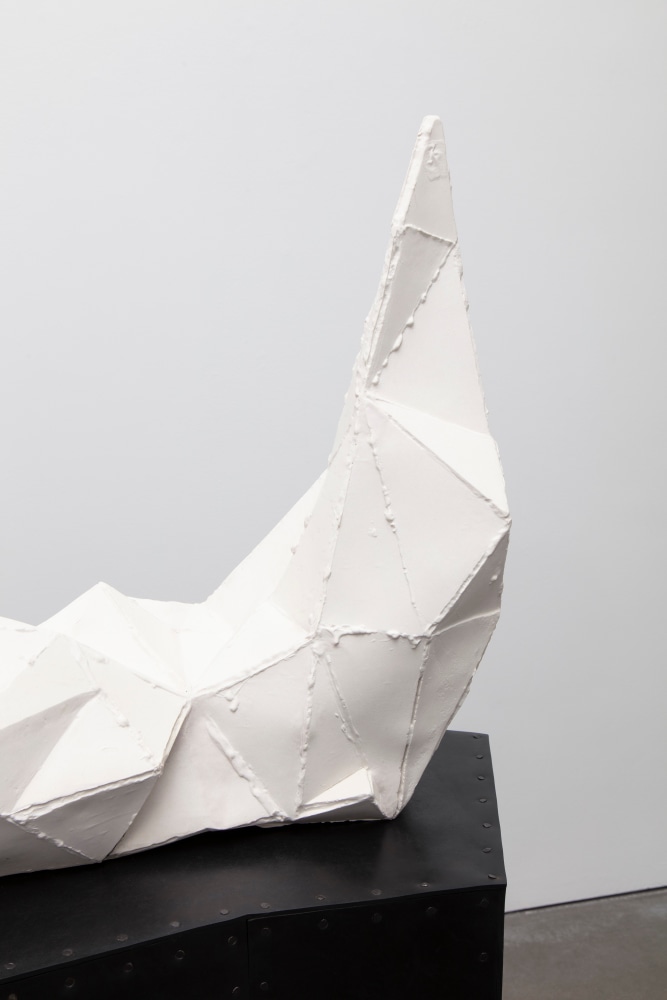 Liz Larner: Pioneers