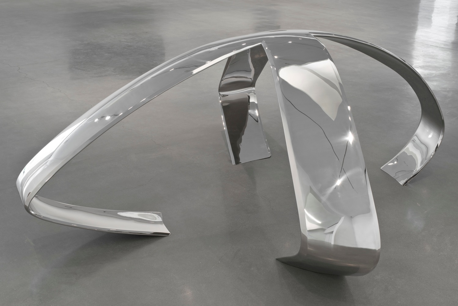 Liz Larner: Pioneers