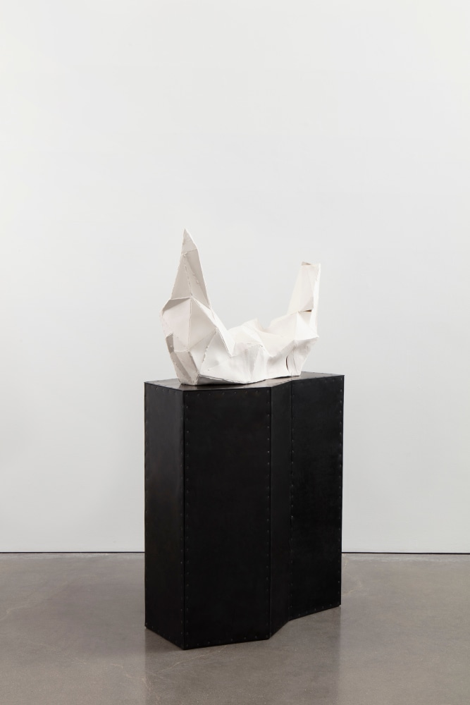 Liz Larner: Pioneers