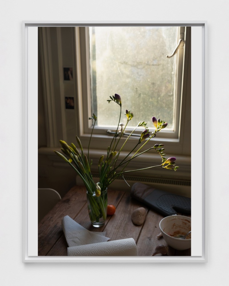 Wolfgang Tillmans
Hampstead still life
2020
Inkjet print on paper mounted on aluminum in artist&amp;#39;s frame
30 3/4 x 23 1/2 x 1 1/4 inches (78.1 x 59.7 x 3.2 cm)
