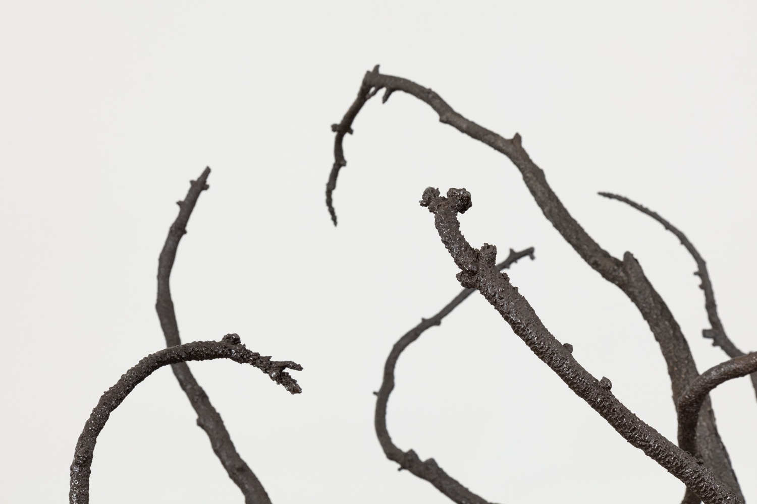 Liz Larner: Pioneers