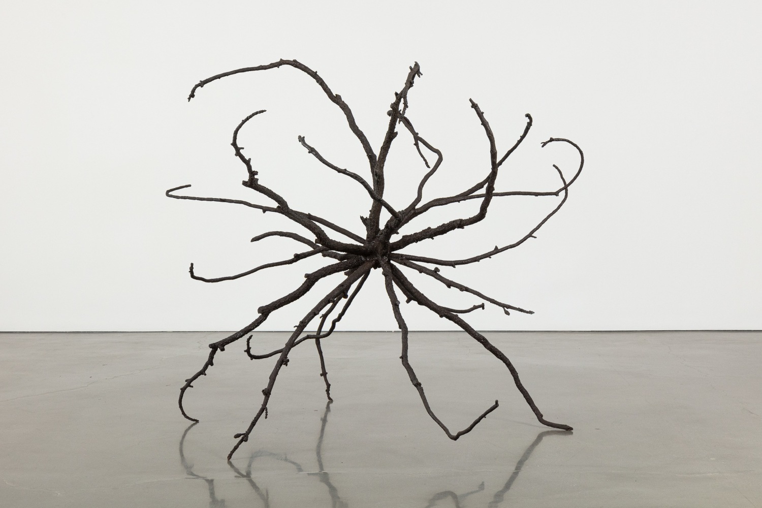 Liz Larner: Pioneers