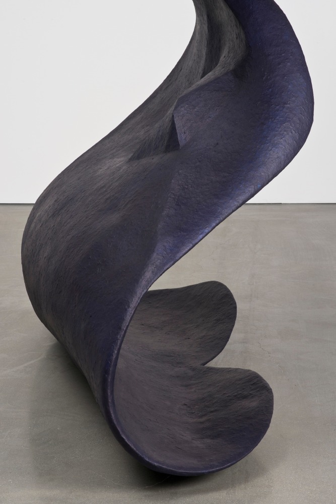 Liz Larner: Pioneers