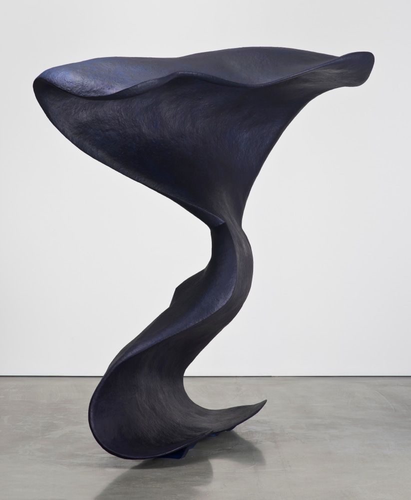 Liz Larner: Pioneers