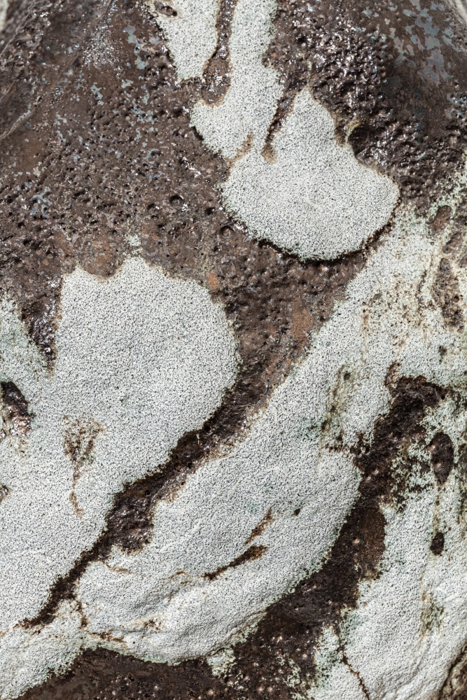 Liz Larner
Asteroid (Fluffy)&amp;nbsp;(detail)
2020
Glazed ceramic
16 x 13 x 8 1/2 inches (40.6 x 33 x 21.6 cm)
$50,000