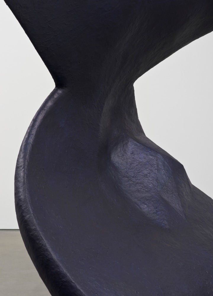 Liz Larner: Pioneers