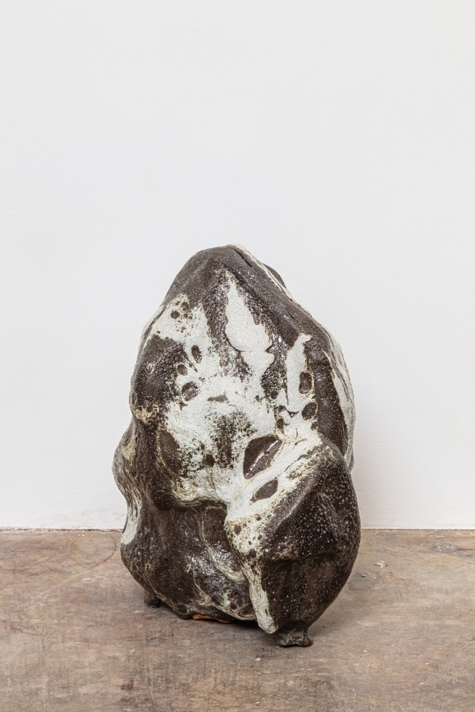 Liz Larner
Asteroid (Fluffy)
2020
Glazed ceramic
16 x 13 x 8 1/2 inches (40.6 x 33 x 21.6 cm)
$50,000