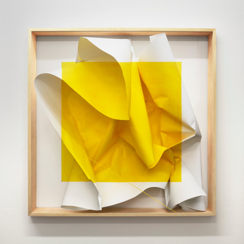 Acrylic on Paper I, 2020 &amp;nbsp;
Digital pigment print 42.5 x 42.5 in (108 x 108 cm) framed
Edition 1 of 6 + 2 AP