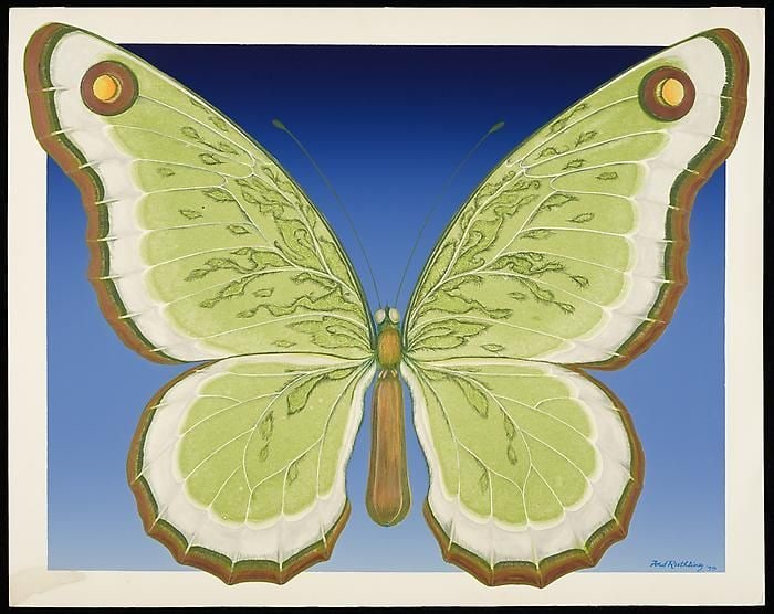 Butterfly, d. 1979, lithograph on paper, 30 x 40 inches