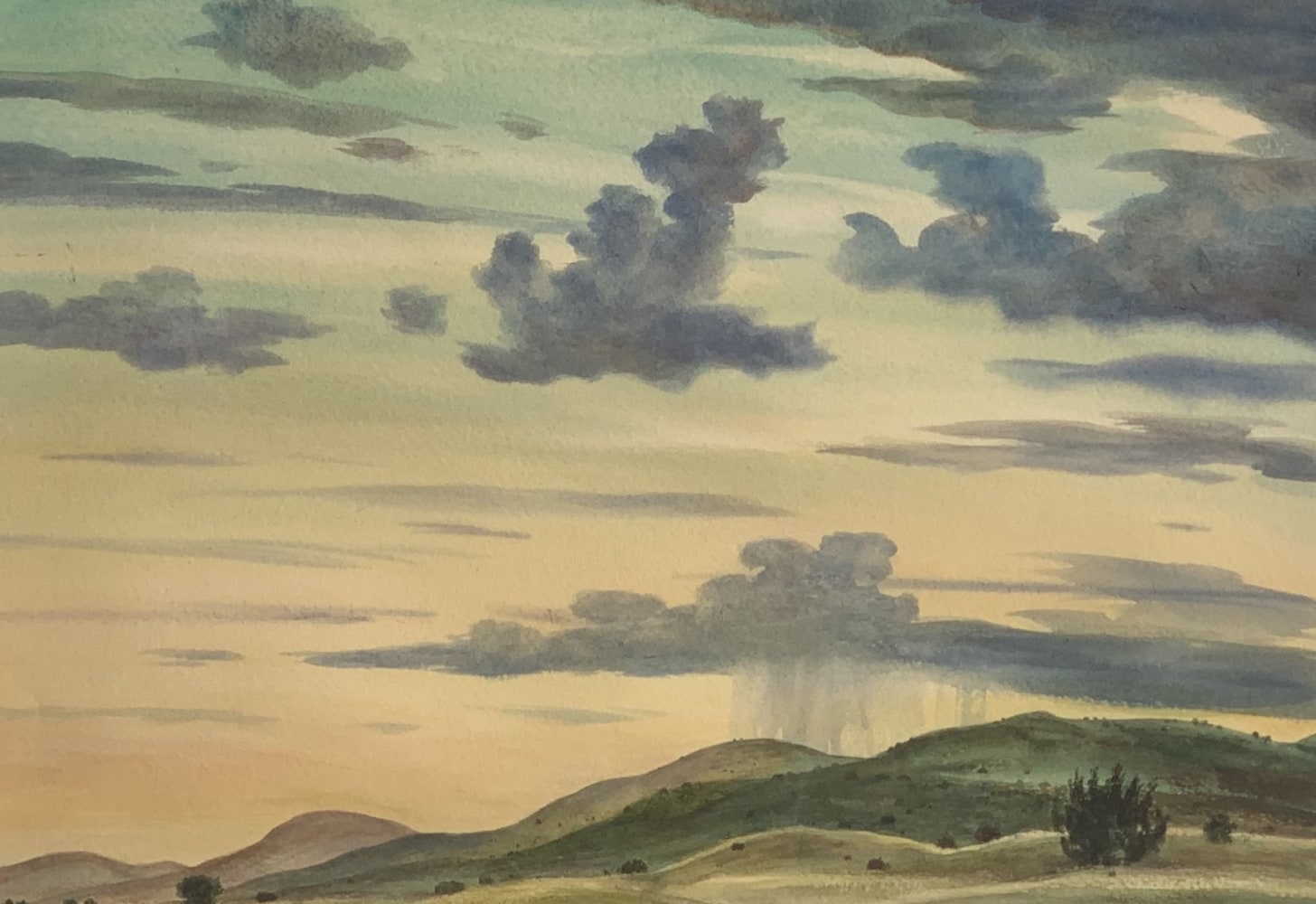 Summer Shower, watercolor on paper, 14-1/4 x 20 inches, NP220-12