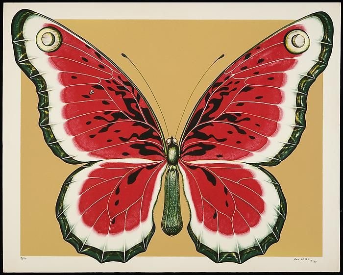 Sandia Butterfly, d. 1979, lithograph on paper, 30 x 40 inches