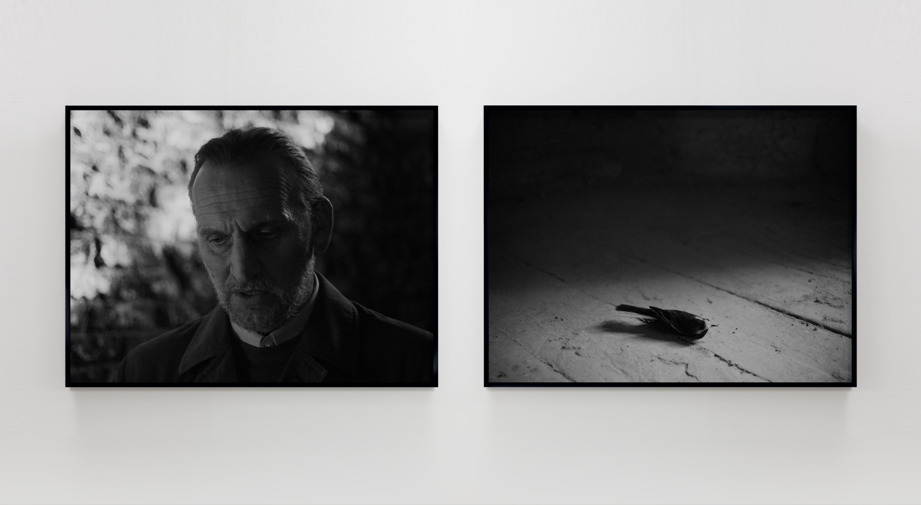 ENDLESS IV&amp;nbsp;
2020
diptych: pigment print on Hahnemūhle Photo Rag 308gsm, 100% Cotton, white, acid free, framed
edition of 3
50 x 66.6 cm / 19.7 x 26.2 in (image size, each)&amp;nbsp;
52 x 68.6 x 3 cm / 20.5 x 27 x 1.2 in (framed size, each)&amp;nbsp;
WD25920
&amp;euro;10,000 ex VAT