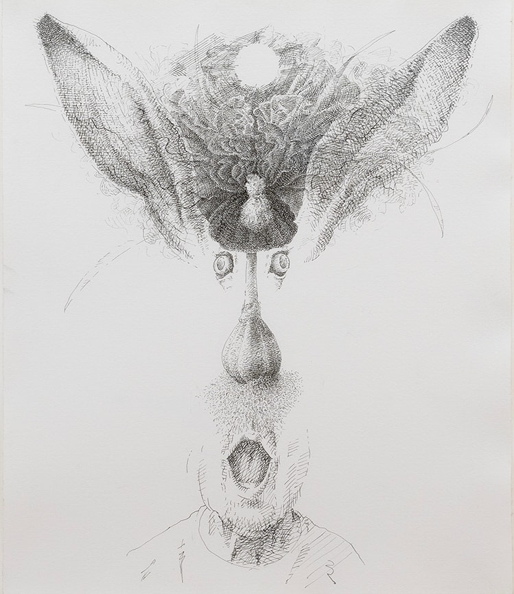 A drawing by Tom Knechtel titled 'Hasenblumenmondkopf'