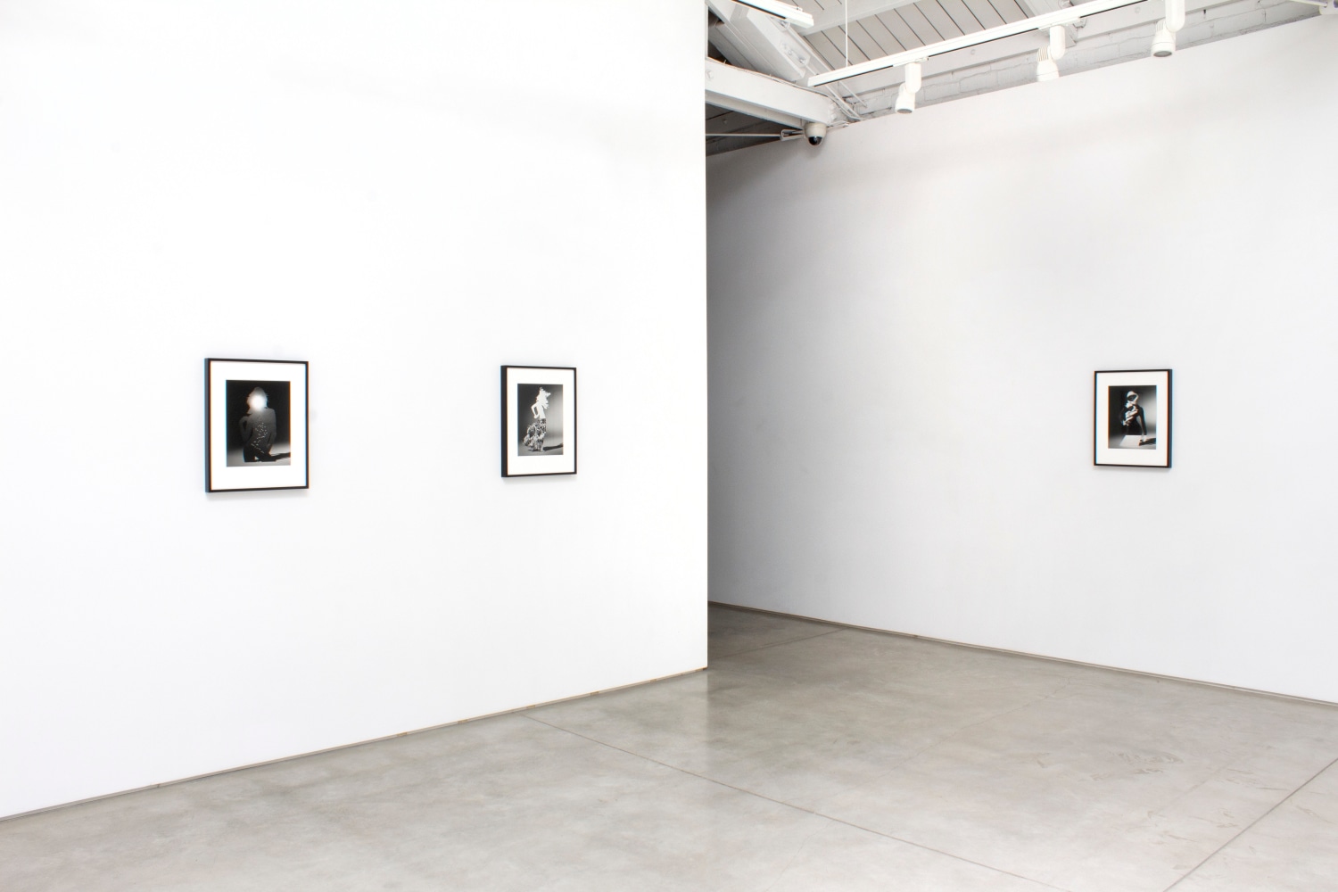 Installation view of Matt Lipps: The Body Wants to Live​​​​​​​, 2020