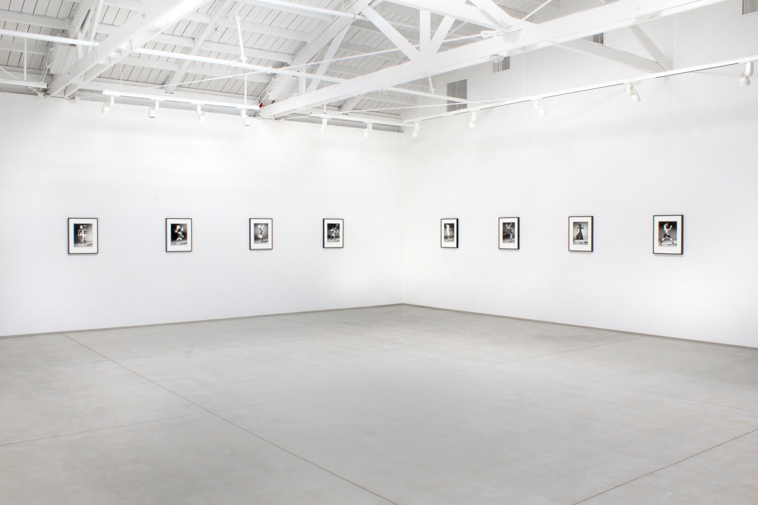 Installation view of Matt Lipps: The Body Wants to Live​​​​​​​, 2020