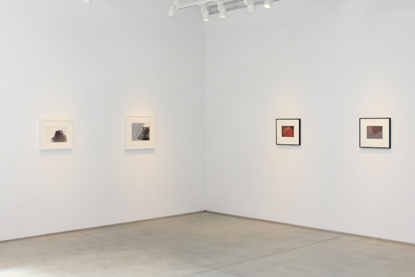 Jay DeFeo The Texture of Color​, installation view