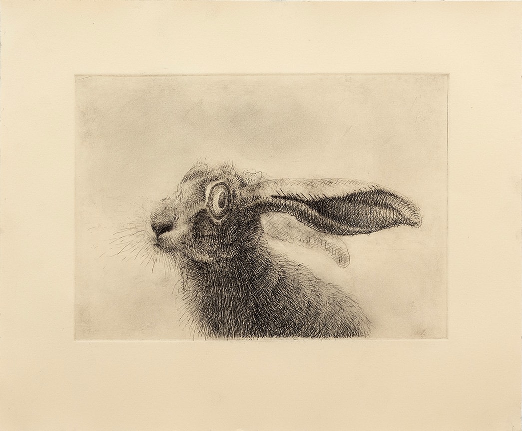 A drawing of a hare in profile