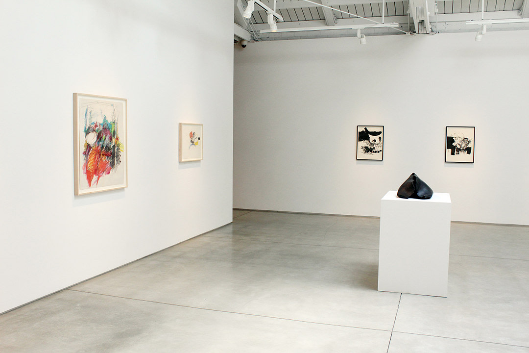 Hannah Wilke Drawings and Sculptures​, installation view
