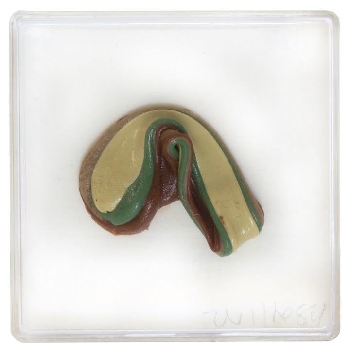 Hannah Wilke  Untitled (Single Gum Sculpture), 1984