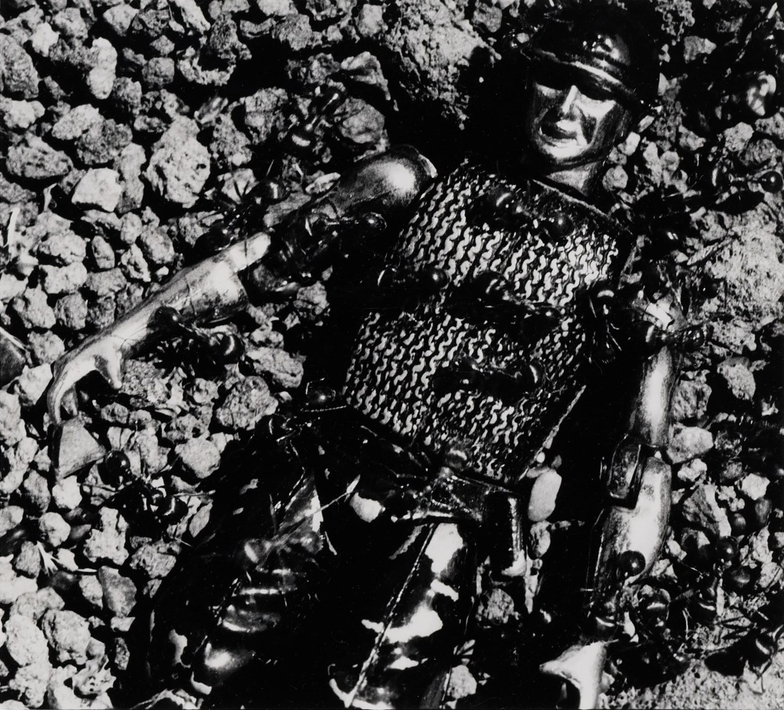 David Wojnarowicz, Untitled (Control) from the Ant Series, 1988-89