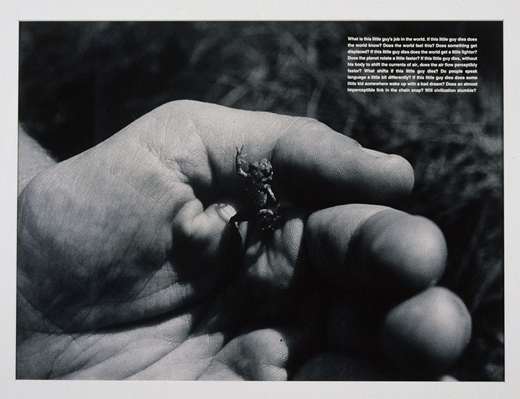 David Wojnarowicz, What is this little guy's job in the world, 1990