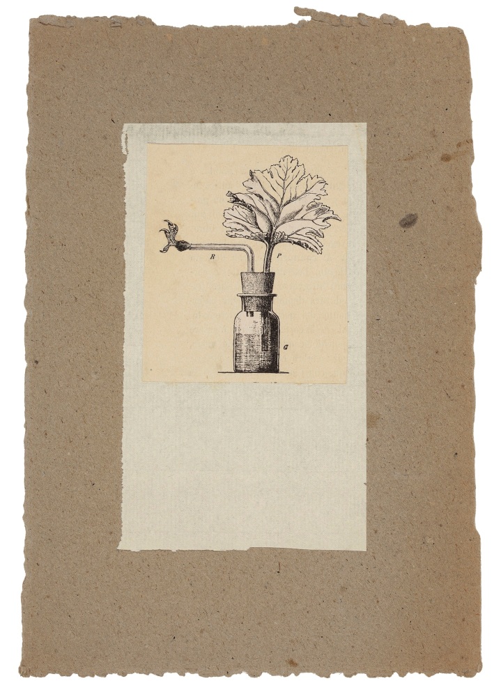 Robert Rauschenberg (1925-2008)
Untitled [corked bottle], c. 1952
Paper and printed paper collage on paperboard
10 x 7 inches