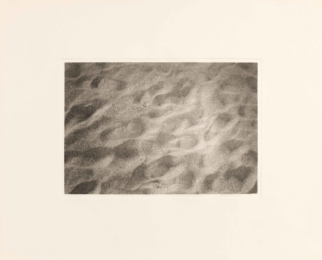 Frieze Los Angeles 2023