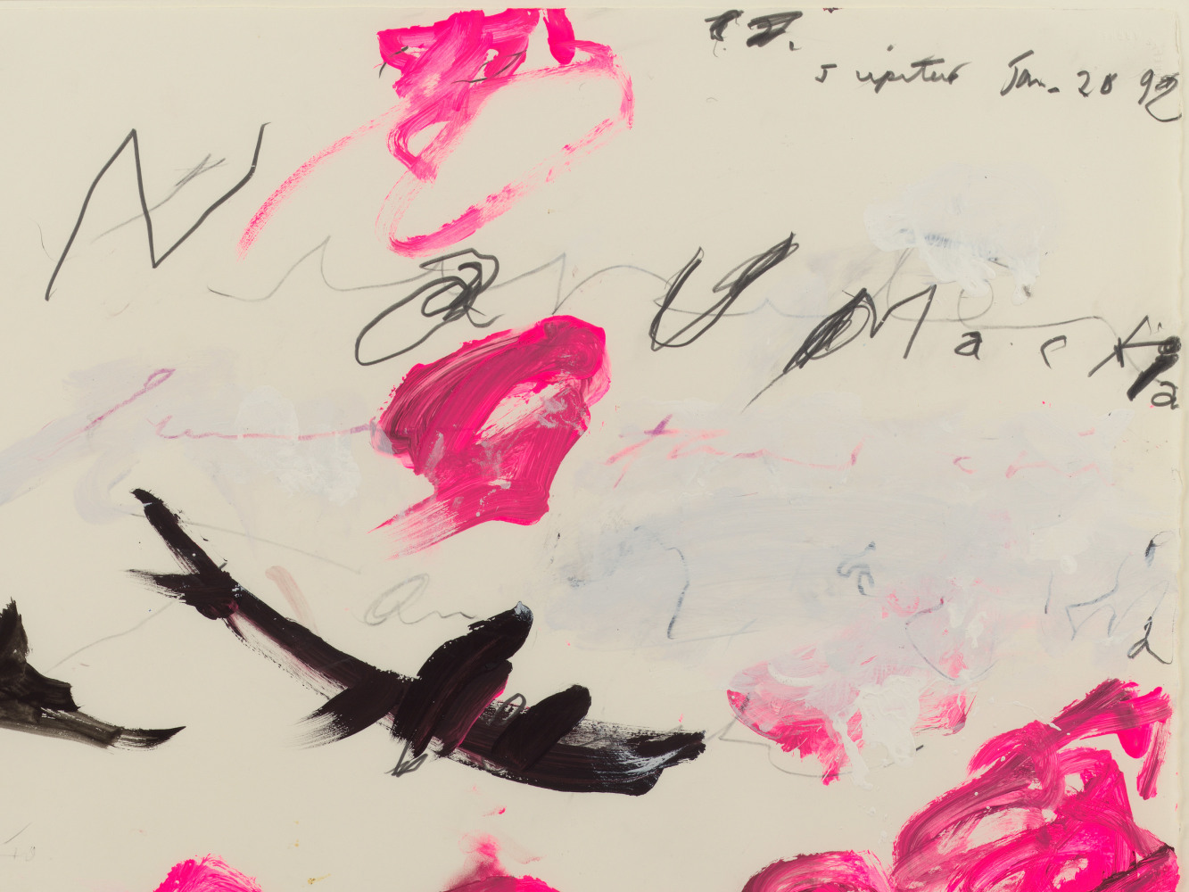 The Visible and the Legible: Jasper Johns and Cy Twombly