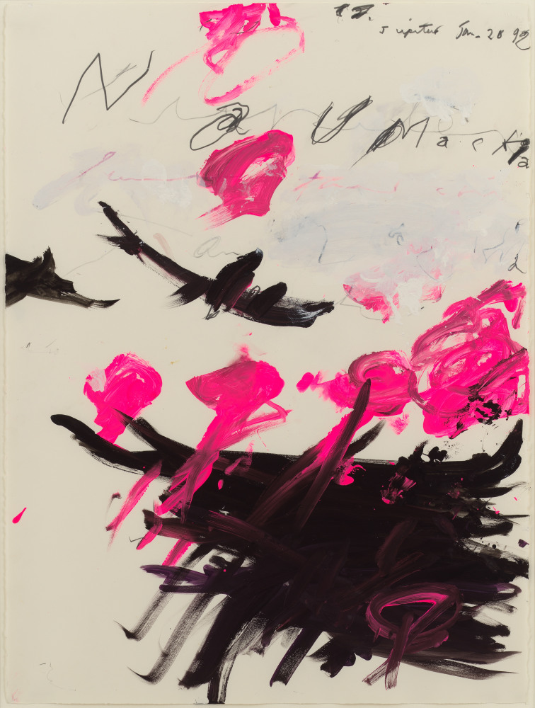 The Visible and the Legible: Jasper Johns and Cy Twombly