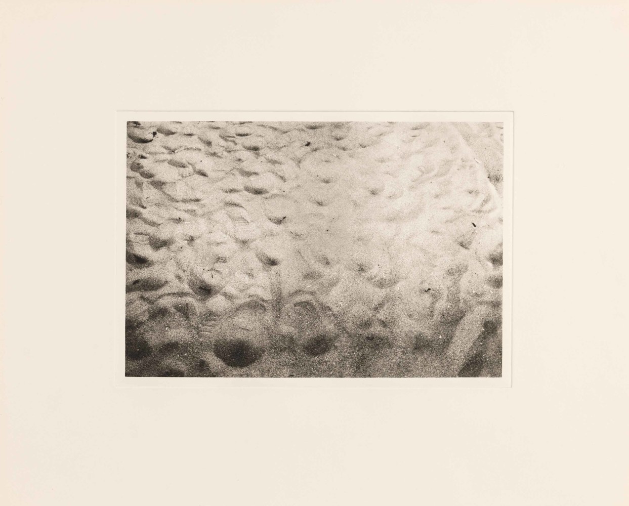 Frieze Los Angeles 2023