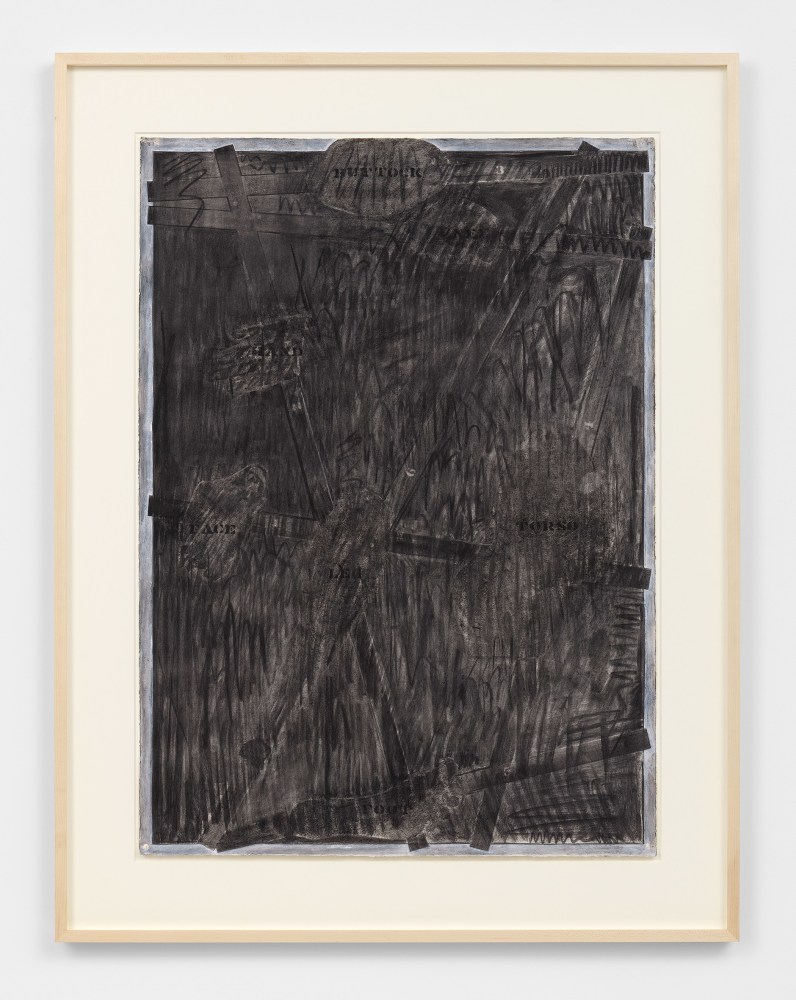 Jasper Johns&amp;nbsp;

Untitled, 1973

Charcoal, opaque white, and graphite pencil on paper

41 1/4 x 29 1/2 inches

D229