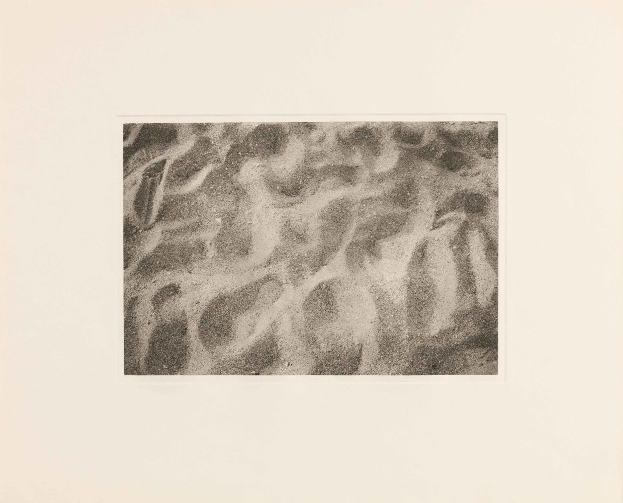 Frieze Los Angeles 2023