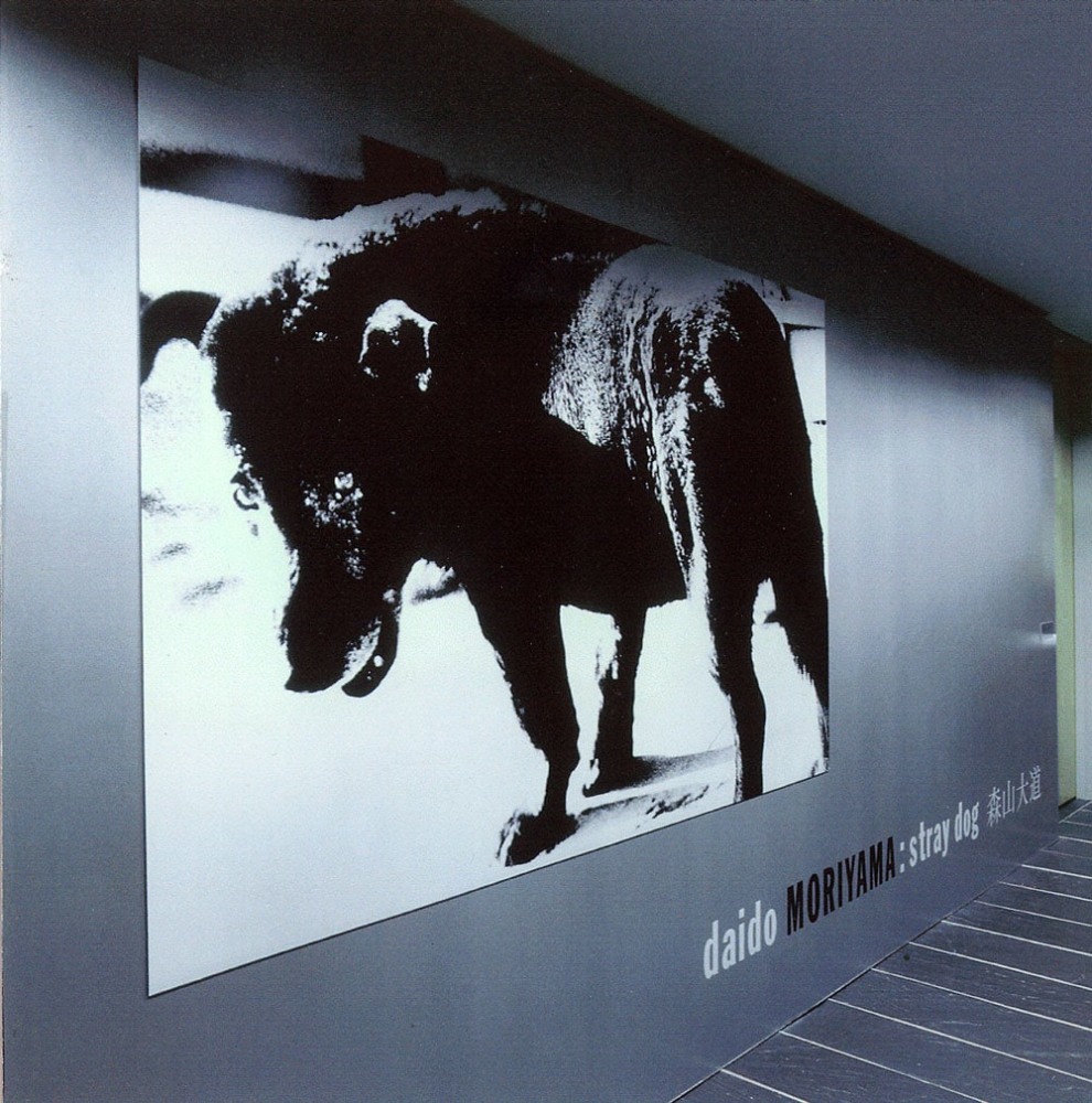 Installation view:&amp;nbsp;Daido Moriyama: Stray Dog,&amp;nbsp;Japan Society Gallery, New York, September 22, 1999&amp;ndash;January 3, 2000
Photo: Sheldon Collins &amp;copy; Japan Society, New York