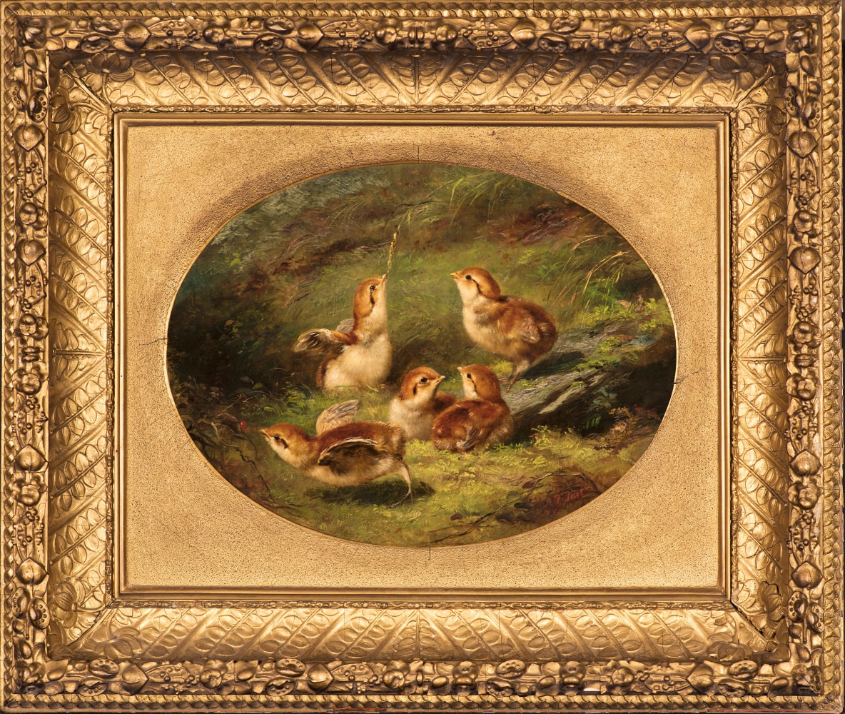 Arthur Fitzwilliam Tait (1819–1905), Young Ruffed Grouse, 1858, oil on canvas, 9 1/2 x 12 1/2 inches (oval), signed lower left: A. F. Tait / NY
