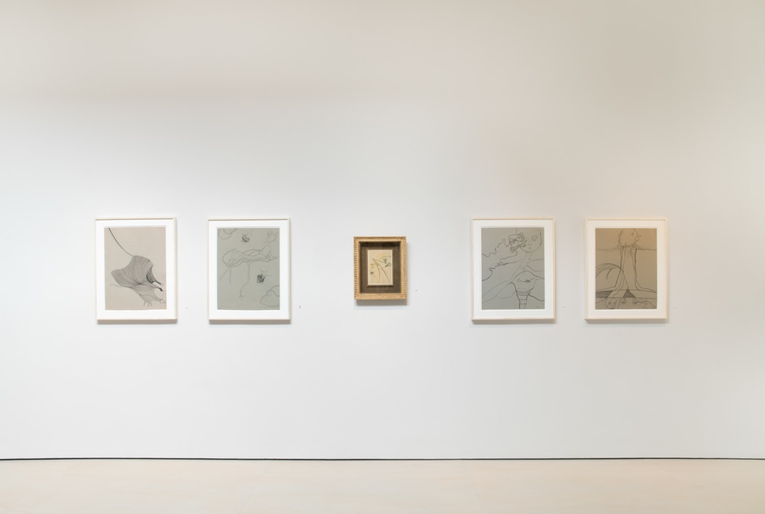 COSMIC EYE OF THE LITTLE BIRD