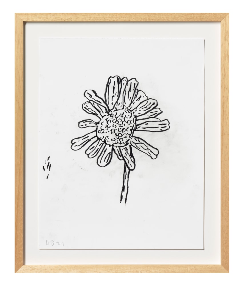 Donald Baechler Flower, 2021 graphite on Strathmore Archival Bond paper paper: 14 x 11 inches  frame: 17 5/16 x 14 1/4 inches