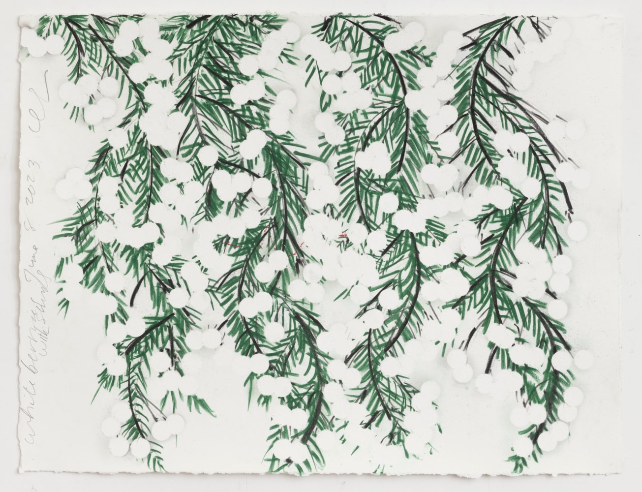 Donald Sultan White Berries With String June 8 2023, 2023 charcoal, conte and graphite on paper  paper: 22 1/2 x 30 inches  frame: 27 x 33 3/8 inches