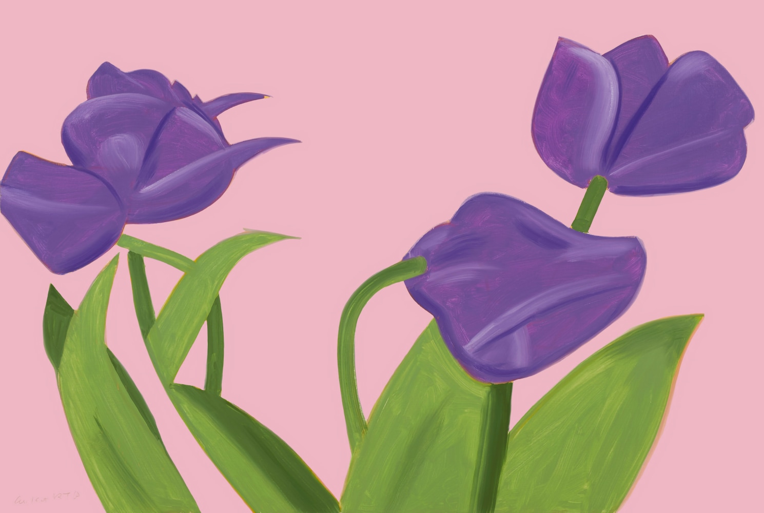 Alex Katz  Purple Tulips 1 (from Flowers Portfolio), 2021 archival pigment inks on Innova etching cotton rag 315 gsm paper: 32 x 47 inches frame: 31 5/8 x 50 15/16 inches Edition 26 of 100